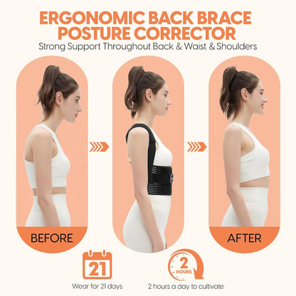 Korex Ergonomic Back Brace & Posture Corrector – Adjustable Spine & Lumbar Support